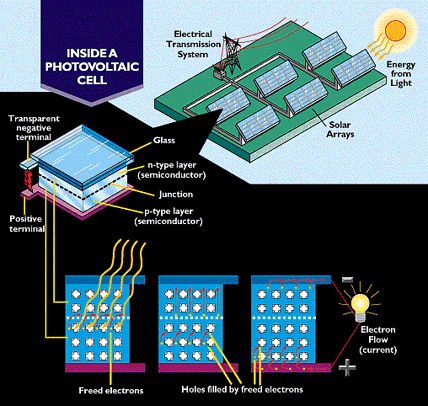 cellwork.gif (72139 bytes)